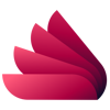 Dream Webs Logo