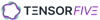 TensorFive GmbH Logo