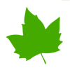 EcoLoom AI Logo