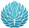 PND50 Co., Ltd. Logo