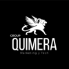 Quimera Group & Marketing & Tech Logo