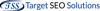 Target SEO Solutions Logo