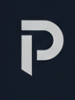 privacy insight solutions Logo