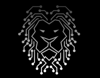IB Results - Digital Marketing Malta Logo