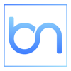Brainy Neurals - AI Development Company Logo