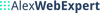Alex Web Expert Logo