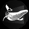 Finval Ltd Logo