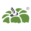 Capsicum Mediaworks - SEO Company In India Logo