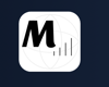 Worldmetrics Market Research Logo