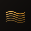 Rhinegold Consulting BV Logo