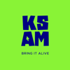 Kreative Sparkz Ad Media Logo