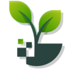 HopeSpring Digital Logo