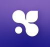 Quantaroot Logo