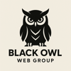 Black Owl Web Group Logo