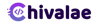 Chivalae Digital Marketing Agency Logo