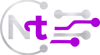 NimiTech Dgital Logo