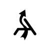 Agile Infoways LLC Logo