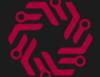 VAST Logo