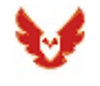 Red Owl IT Logo