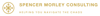 Spencer Morley Consulting Logo