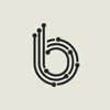 Binarycorp Technologies Logo
