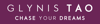 Chase Your Dreams Consulting Logo