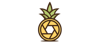 Ananas Video Studio Logo