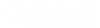 Webisdom AI Logo