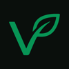 Virdis Logo