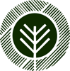 Canopy Creative Logo