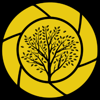 Digiwoods Marketing Logo