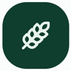 Bondens Webbyrå Logo