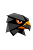 Falkon Insights Logo