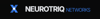 NeuroTriq Networks Logo