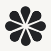 Cognitrace Logo