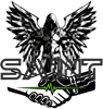 SAINT Technology Services Logo