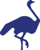 OstrichTech Software Solutions Logo