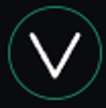 velocity consulting Logo