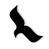 Cianic Logo