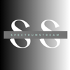 Spectrum Stream Security Technologies | Managed IT Service Provider Logo