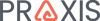 Praxis360 Logo