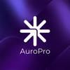 AuroPro Soft Systems Logo
