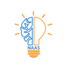 Naas Solutions Ltd. Logo