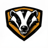 Websites and Sytems Logo