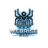 WebRISE Labs Logo
