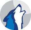 Wolf Consulting, LLC Logo