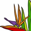 Monji Landscape Companies Logo