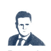 Wizerunek Profesjonalisty PL Logo