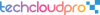 Techcloudpro, Vibing World Inc. Logo