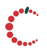 Cranberry Technologie Logo